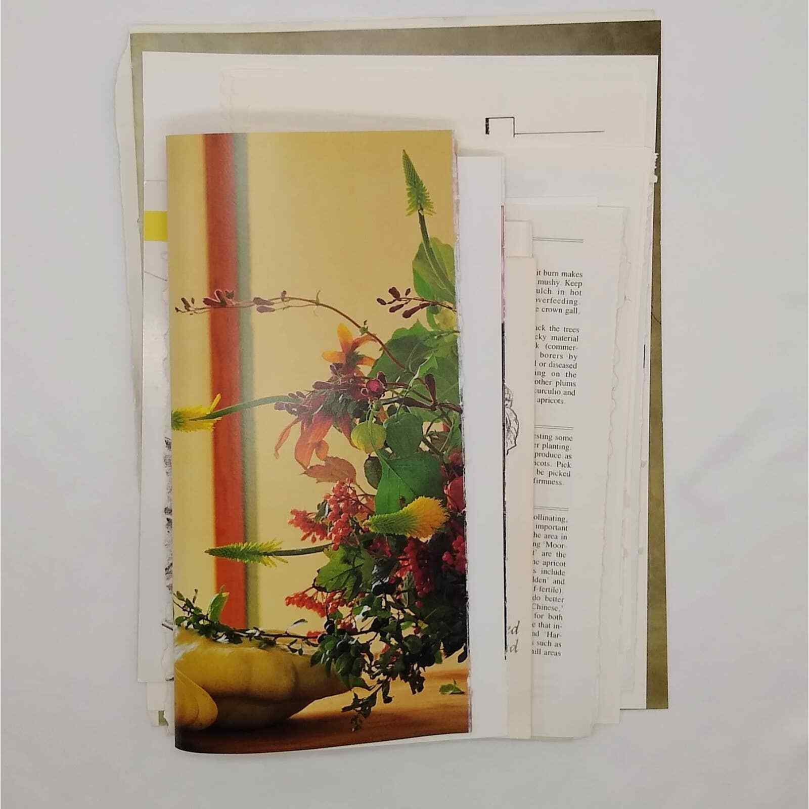 Plants And Animals Book Pages, Flora And Fauna Book Pages, Vintage Book Pages